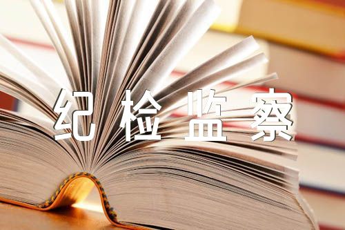 纪检监察干部队伍教育整顿交流发言材料(锦集4篇)