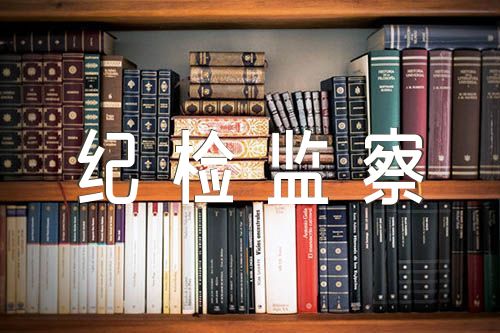 关于纪检监察教育整顿党性分析【四篇】