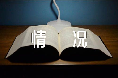 纪律作风整改落实情况报告精选9篇