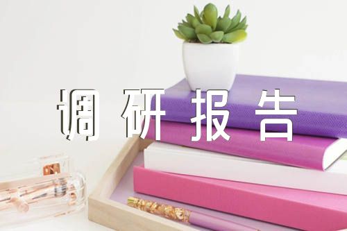 点评主题教育调研报告精选四篇