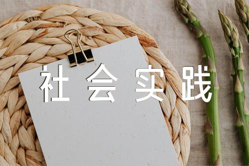 思想道德与法治的社会实践报告(合集八篇)