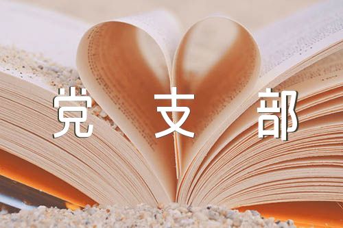 党支部对照检查问题清单及整改措施(锦集6篇)