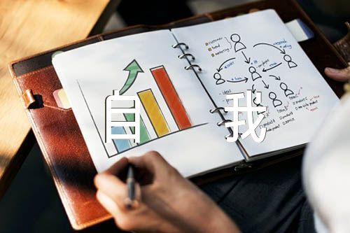政治画像品德操守自我评价精选四篇