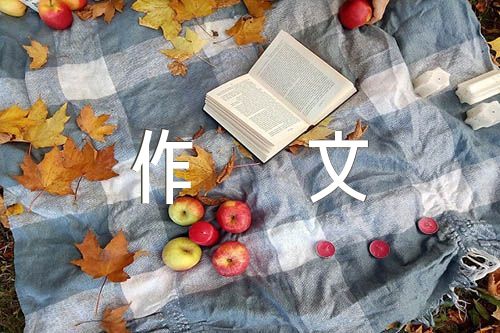 梦想作文800字范文六篇