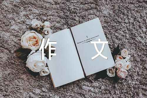 土地作文800字集合4篇