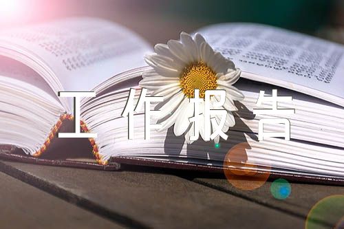 两院工作报告讨论发言精选四篇