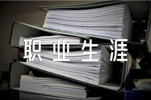 大学生职业生涯规划书300字【四篇】