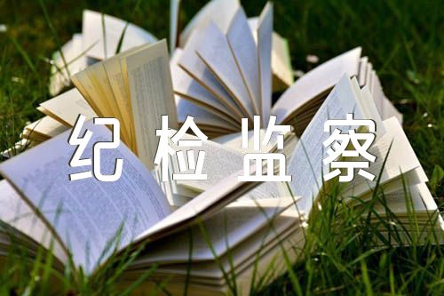 纪检监察干部队伍教育整顿学习报告四篇