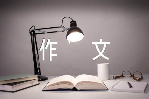 温暖作文500字【6篇】