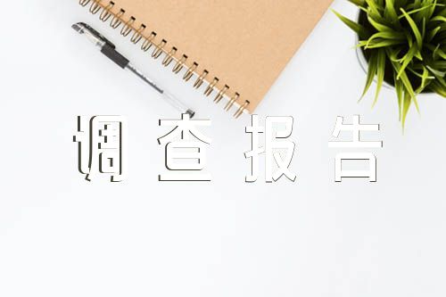 調(diào)查報(bào)告格式模板三篇