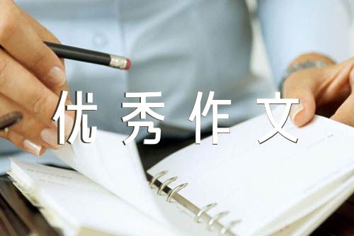 优秀作文800字范文(通用6篇)