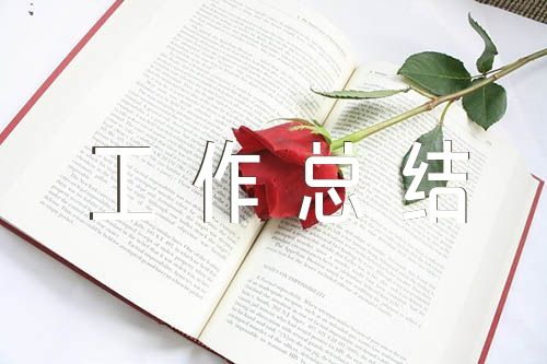 党务工作者个人工作总结四篇