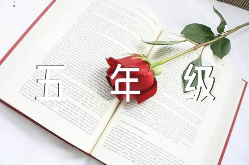 小学生五年级作文(锦集5篇)