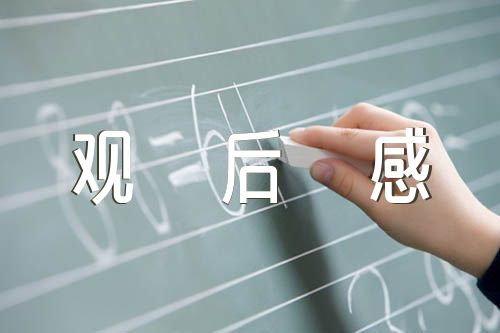 《榜样8》观后感集合9篇