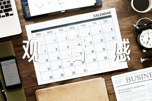 红领巾爱学习组队纪念日观后感