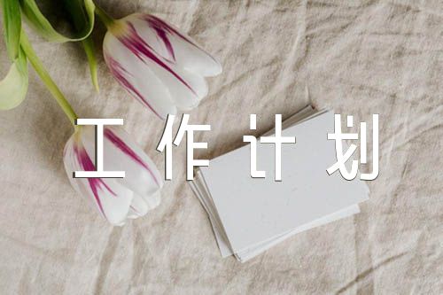 党支部教师双培养工作计划(合集8篇)