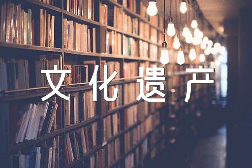 写中国的世界文化遗产的作文500字范文七篇