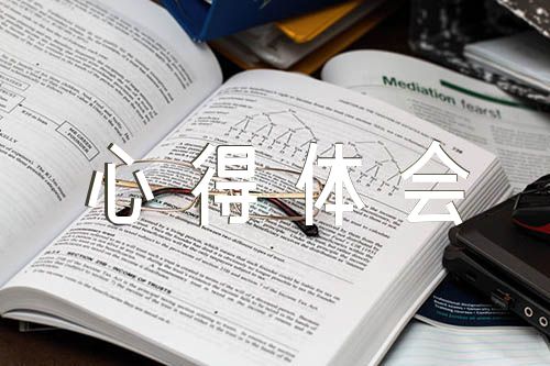 大学生个人总结美育心得体会(锦集3篇)