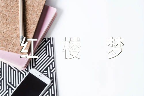 红楼梦的好词好句范文(精选六篇)