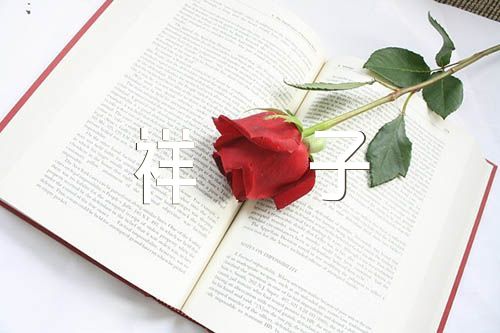 读书笔记骆驼祥子范文汇总八篇