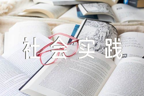 2024大学生社会实践报告锦集四篇
