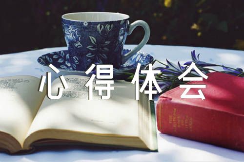 《坚持和加强党的全面领导》心得体会锦集七篇