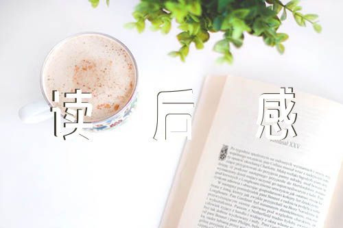 演讲的力量读后感精选5篇