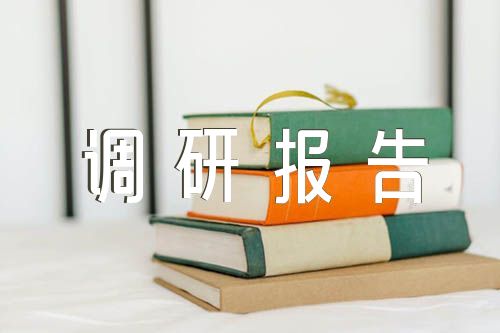 扶贫检查主题教育调研报告【四篇】