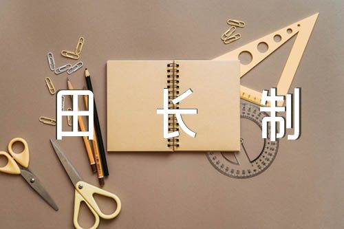 田长制工作汇报精选六篇