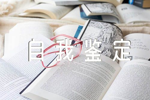 2022年巡察工作自我鉴定例文精选3篇