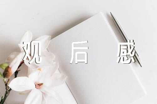 国安天下宁观后感范文汇总三篇