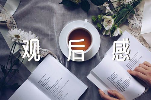 我们的新时代纪录片观后感【汇编三篇】