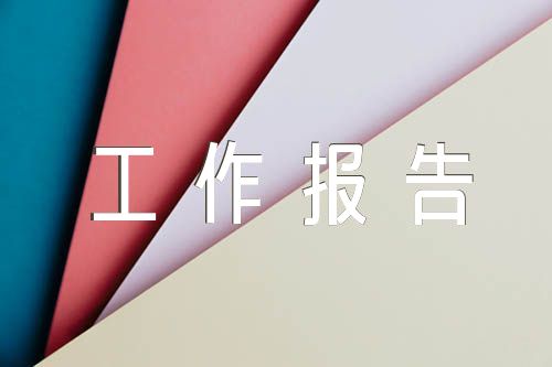 审议人大工作报告发言范文(精选四篇)