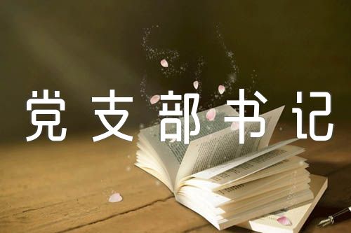 党支部书记个人总结简短(合集4篇)
