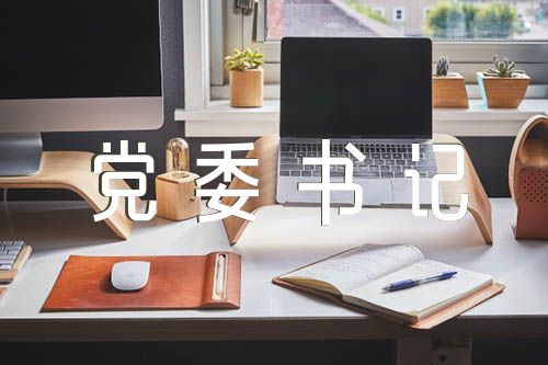 2023年度党委书记个人述职述廉报告(合集四篇)