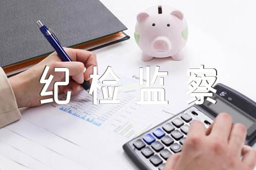 纪检监察干部教育整顿学习读书报告精选6篇