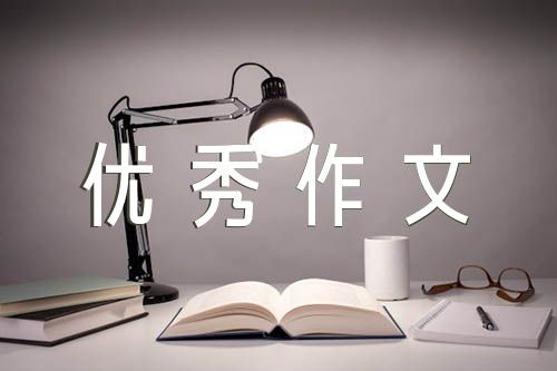 感恩母亲优秀作文600字范文(精选三篇)