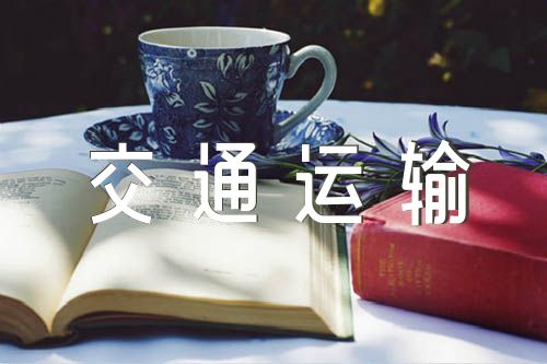 交通运输重大风险防范化解工作方案(合集五篇)