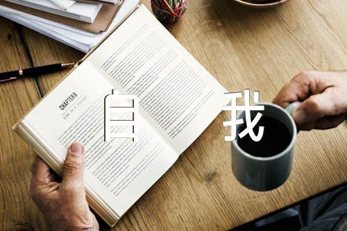 政治画像品德操守自我评价集合4篇
