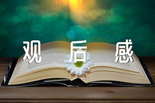 2023中国诗词大会观后感(锦集7篇)