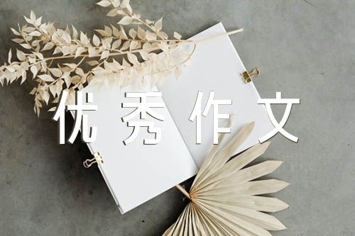 關于那一次我真難忘作文800字初一優秀作文【四篇】