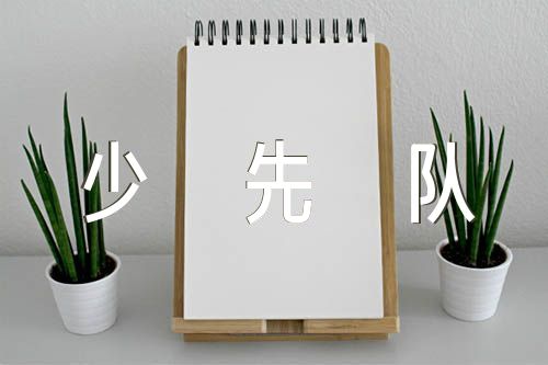 少先队亮点工作汇报汇编4篇