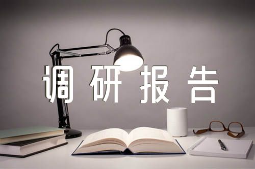 点评主题教育调研报告集合4篇