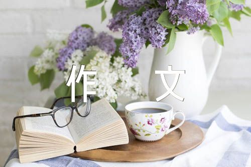关于初中作文500字【六篇】