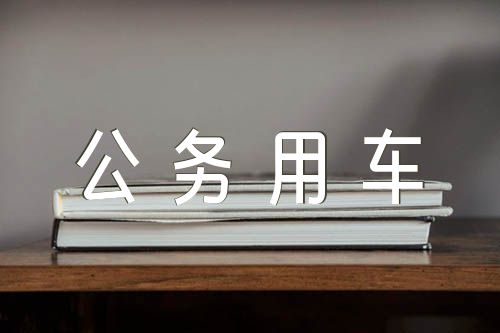 公务用车加油卡自查报告【七篇】