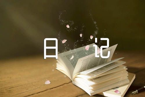 初中日记300字汇编6篇