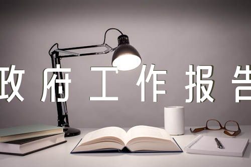 政府工作报告审议发言精选五篇