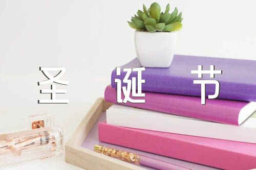 快乐的圣诞节小学作文【汇编五篇】