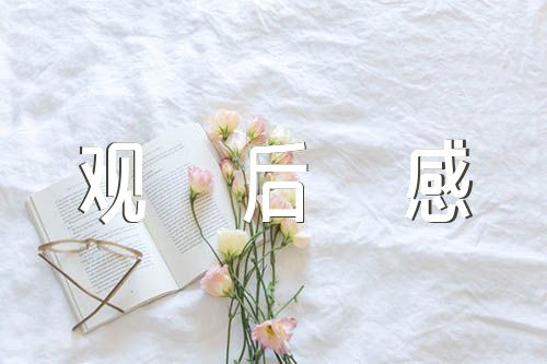 故事里的中国观后感500字集合3篇