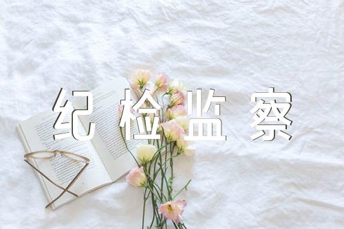 纪检监察干部教育整顿存在问题汇编3篇